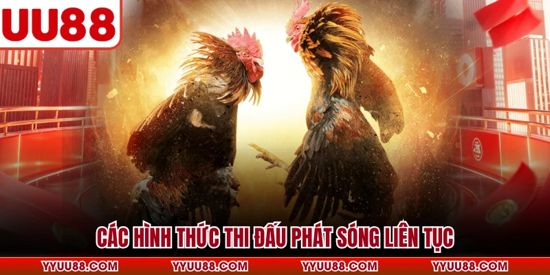 Các hình thức thi đấu phát sóng liên tục