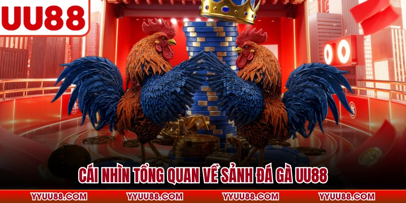 Cái nhìn tổng quan về sảnh đá gà UU88