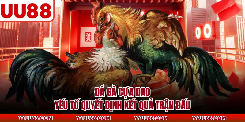 Đá Gà Cựa Dao - Yếu Tố Quyết Định Kết Quả Trận Đấu