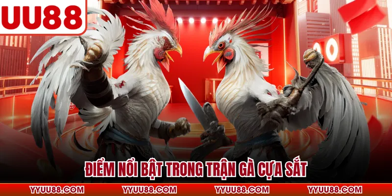 Điểm nổi bật trong trận gà cựa sắt