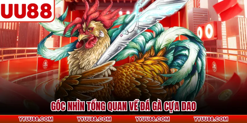 Góc nhìn tổng quan về đá gà cựa dao