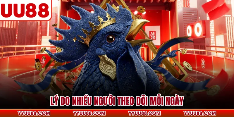 Lý do nhiều người theo dõi mỗi ngày